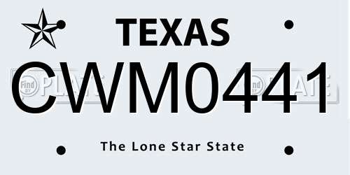 CWM0441 Texas License Plate