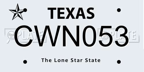 CWN053 Texas License Plate