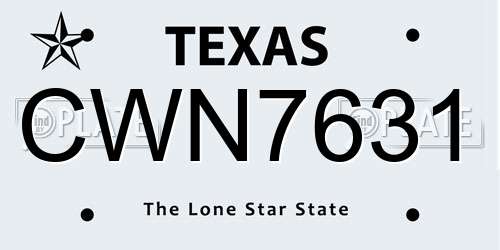 CWN7631 Texas License Plate