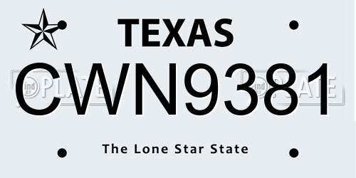 CWN9381 Texas License Plate