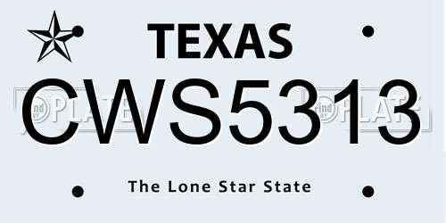 CWS5313 Texas License Plate