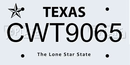 CWT9065 Texas License Plate