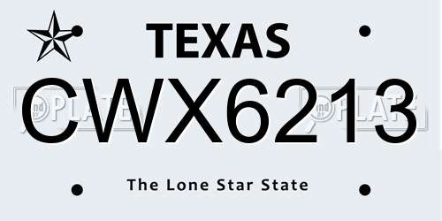 CWX6213 Texas License Plate