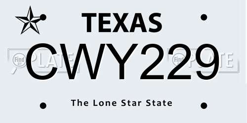 CWY229 Texas License Plate
