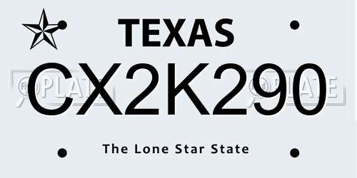 CX2K290 Texas License Plate