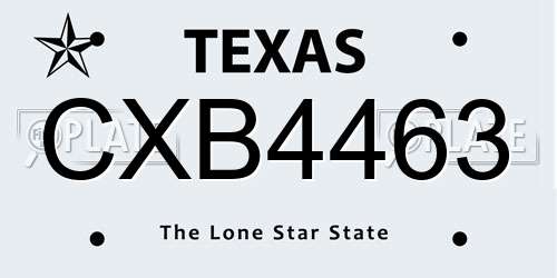 CXB4463 Texas License Plate