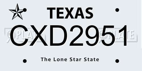 CXD2951 Texas License Plate
