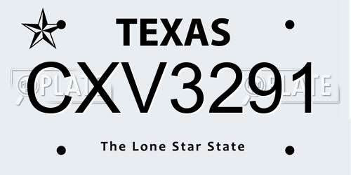 CXV3291 Texas License Plate