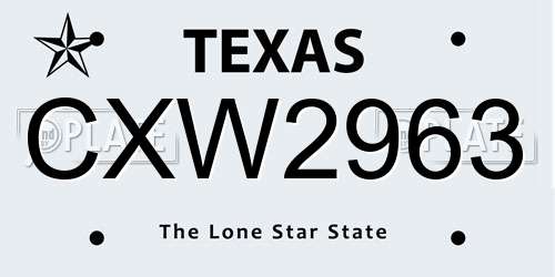 CXW2963 Texas License Plate