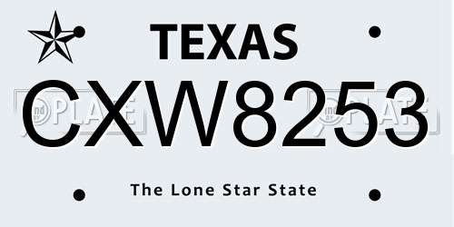 CXW8253 Texas License Plate