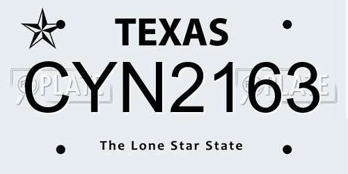 CYN2163 Texas License Plate