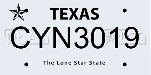 CYN3019 Texas License Plate