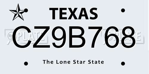 CZ9B768 Texas License Plate