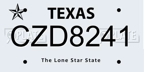CZD8241 Texas License Plate
