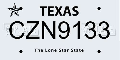 CZN9133 Texas License Plate