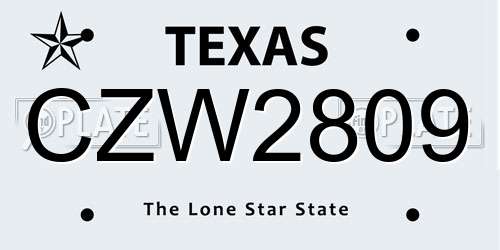 CZW2809 Texas License Plate