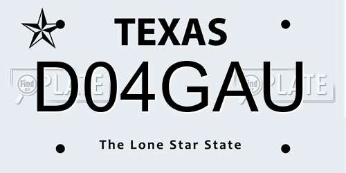 D04GAU Texas License Plate