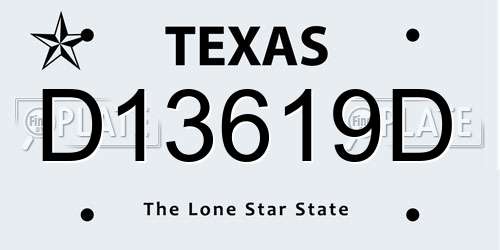 D13619D Texas License Plate