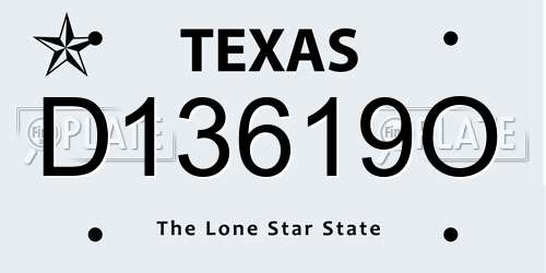 D13619O Texas License Plate