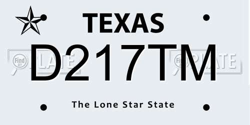 D217TM Texas License Plate