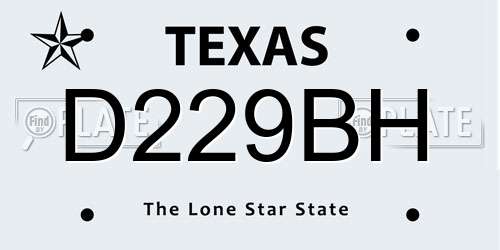 D229BH Texas License Plate