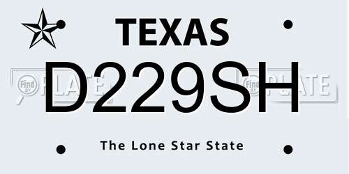 D229SH Texas License Plate