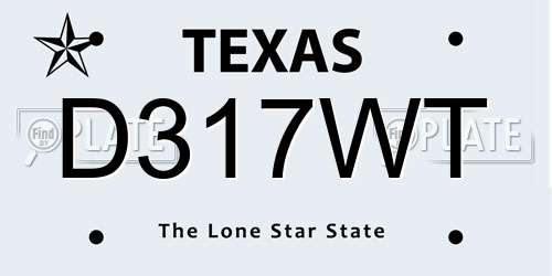 D317WT Texas License Plate