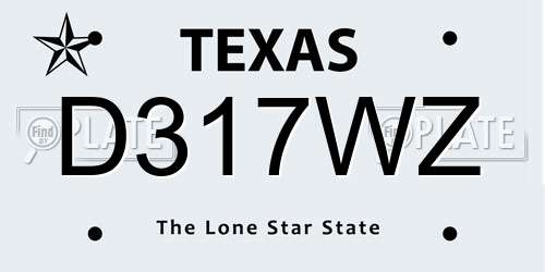 D317WZ Texas License Plate