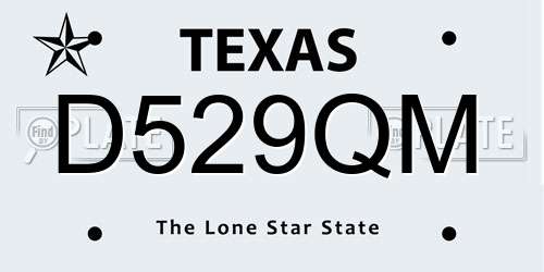 D529QM Texas License Plate