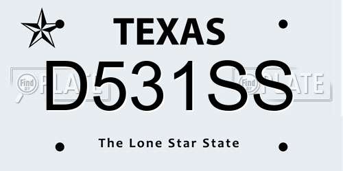 D531SS Texas License Plate