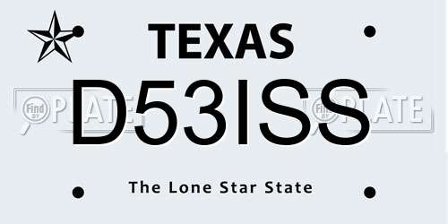 D53ISS Texas License Plate