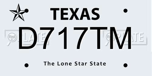 D717TM Texas License Plate