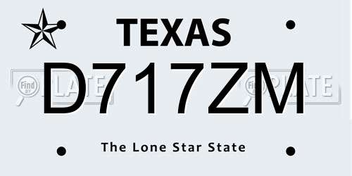 D717ZM Texas License Plate