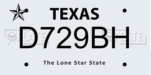 D729BH Texas License Plate