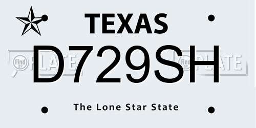 D729SH Texas License Plate