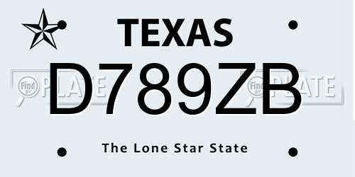 D789ZB Texas License Plate