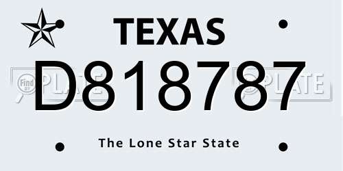 D818787 Texas License Plate