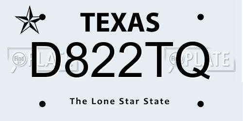 D822TQ Texas License Plate