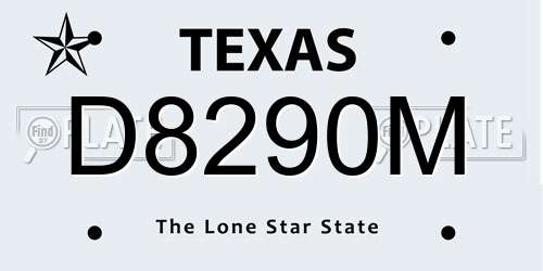 D8290M Texas License Plate