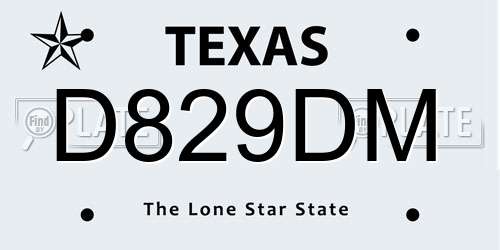 D829DM Texas License Plate