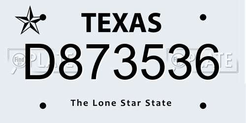 D873536 Texas License Plate
