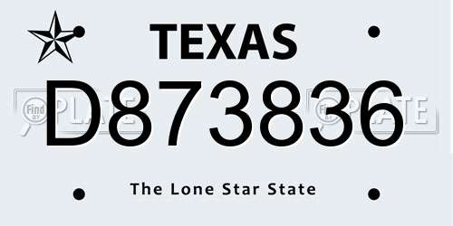 D873836 Texas License Plate