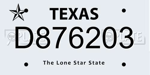 D876203 Texas License Plate