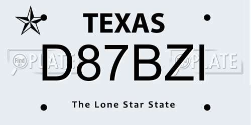 D87BZI Texas License Plate