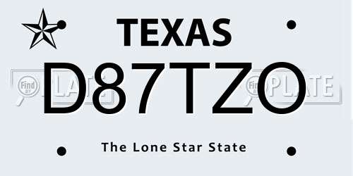 D87TZO Texas License Plate