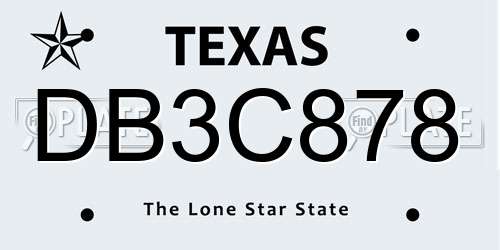 DB3C878 Texas License Plate