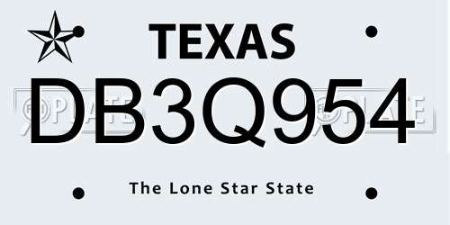 DB3Q954 Texas License Plate