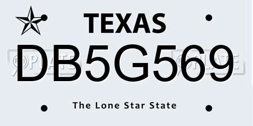 DB5G569 Texas License Plate