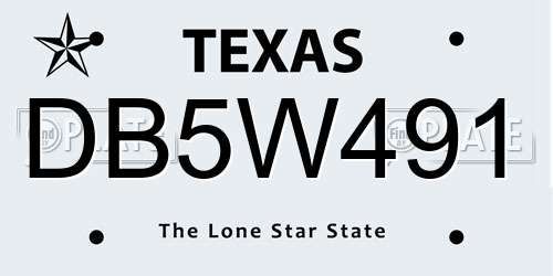 DB5W491 Texas License Plate