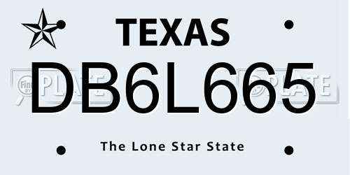 DB6L665 Texas License Plate